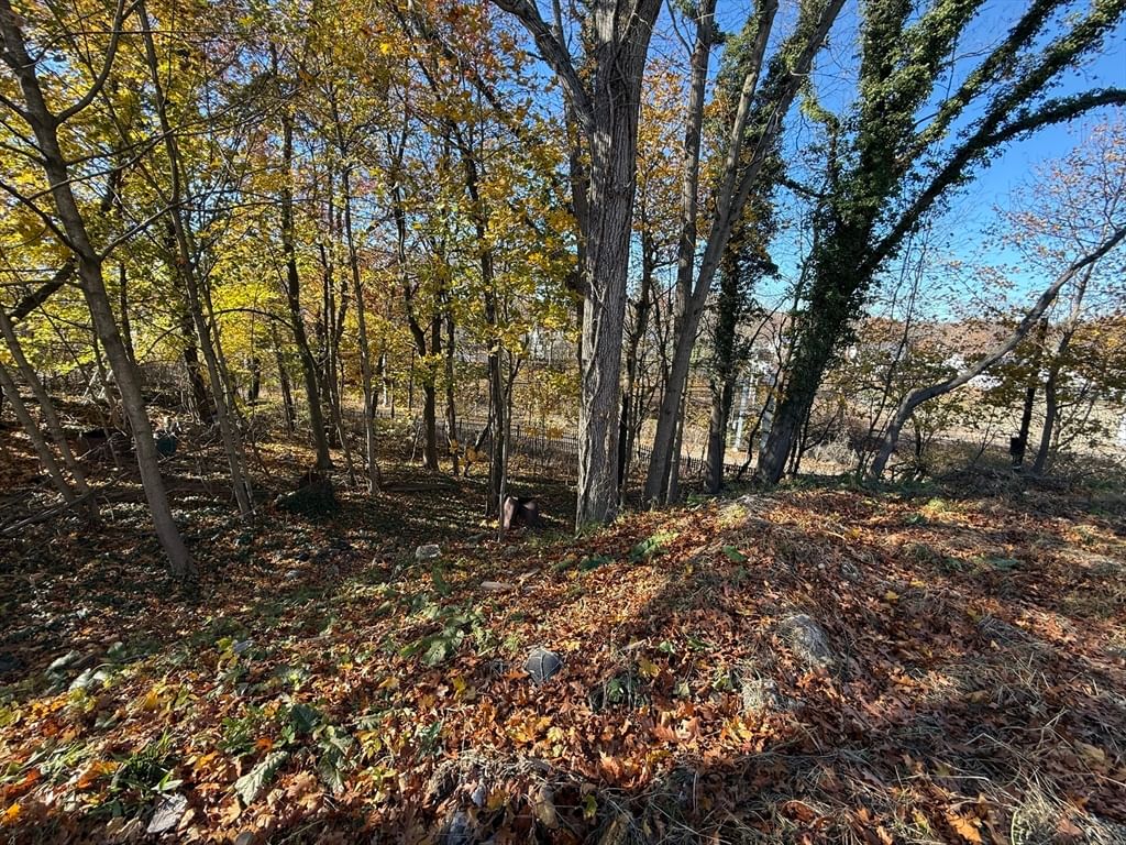 1139 Hyde Park Ave Boston — Photo 12 of 12