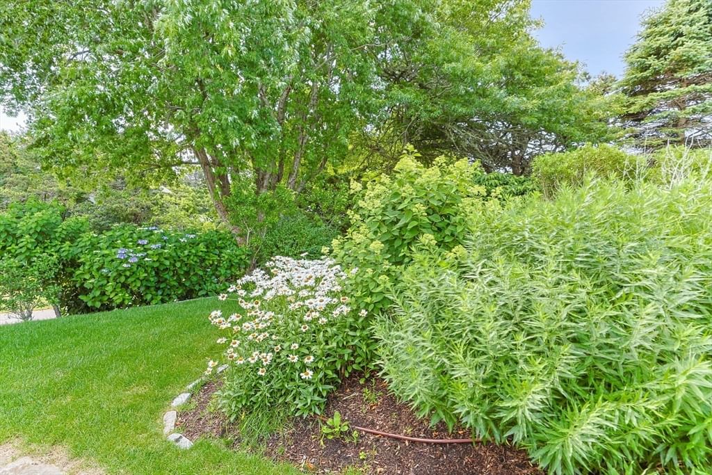 92 Indian Trail Chatham — Photo 4 of 41