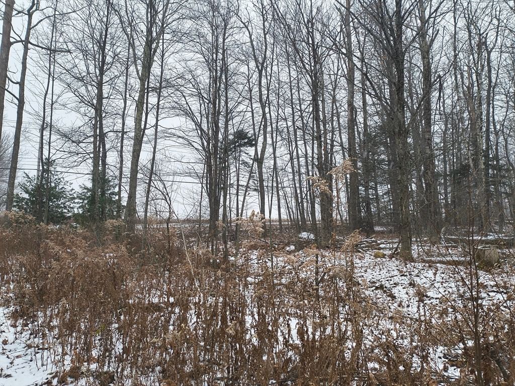 90 Williamsburg Rd, Worthington, MA 01098 photo 5