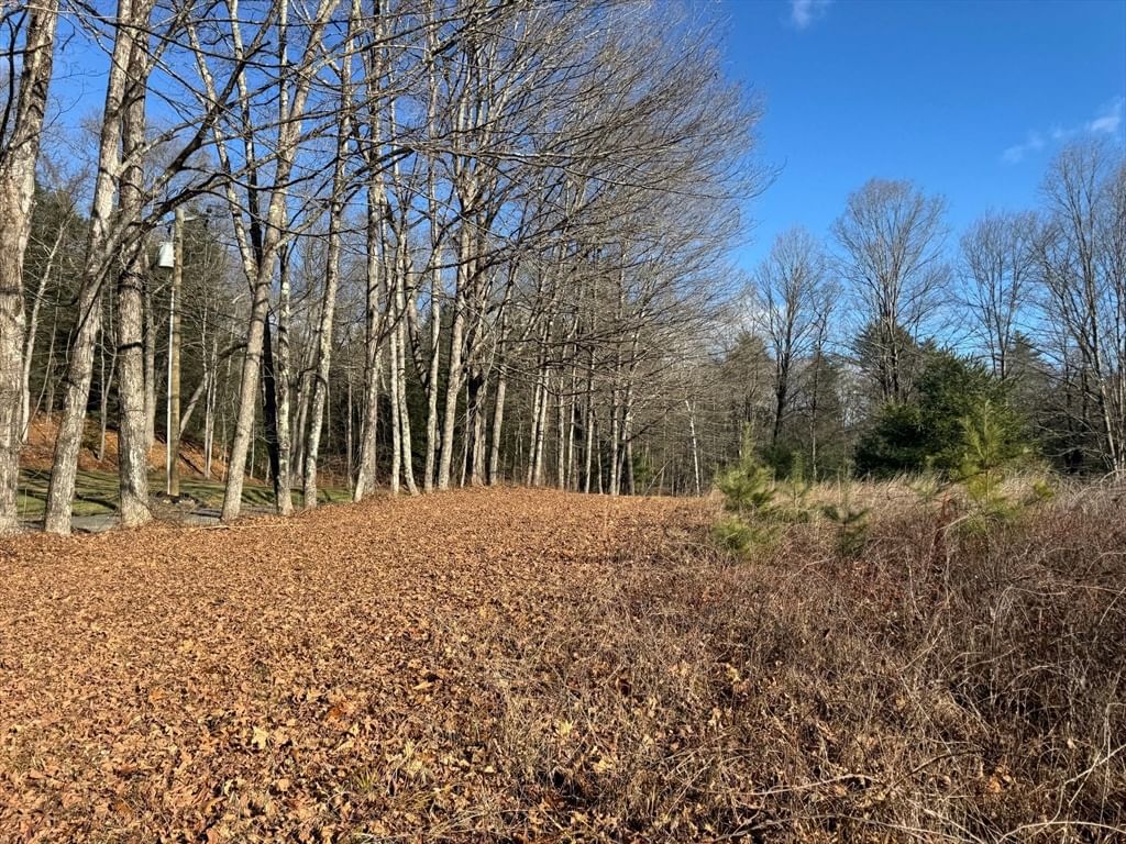 2 Pisgah Mountain Rd, Gill, MA 01354 photo 2