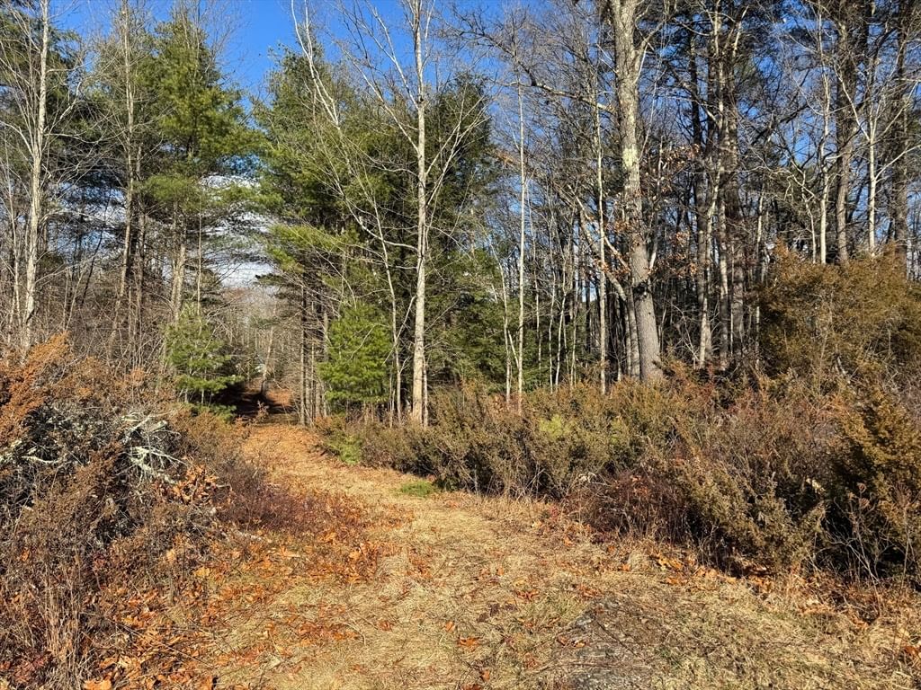 2 Pisgah Mountain Rd, Gill, MA 01354 photo 4