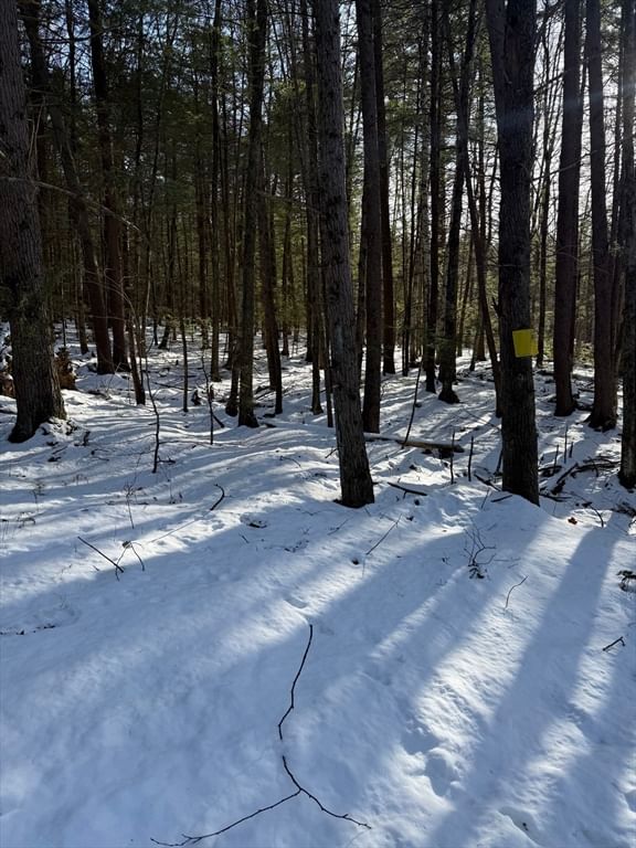 0 Four Mile Brook Rd Northfield — Photo 10 of 11