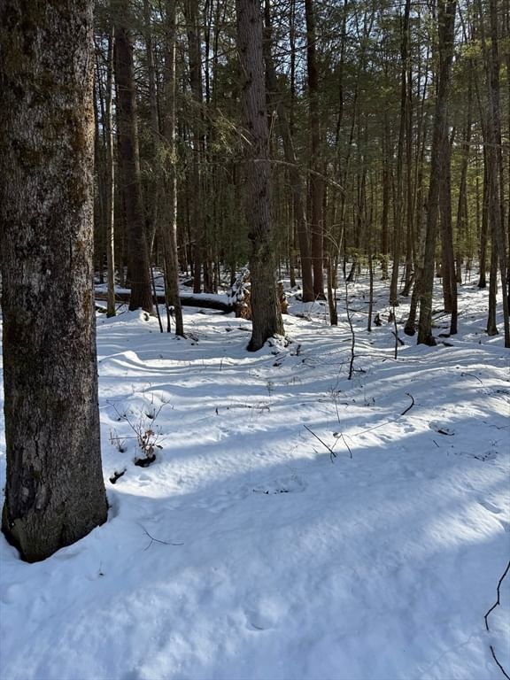 0 Four Mile Brook Rd Northfield — Photo 11 of 11