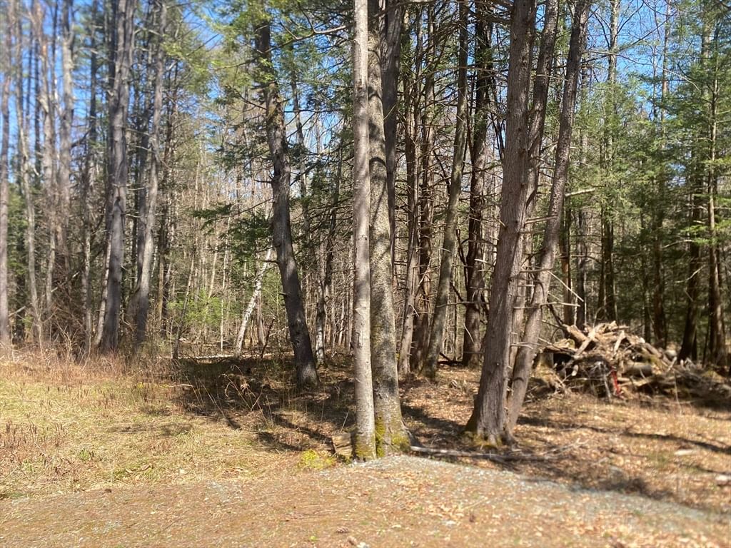 0 Schaefer Way Charlemont — Photo 15 of 16