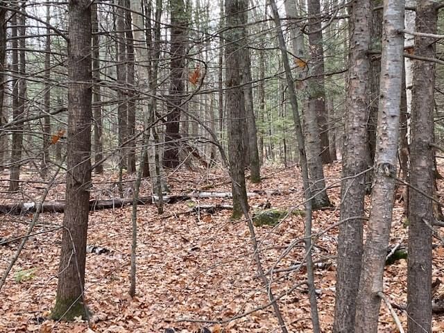 Lt 55 Wendell Rd, New Salem, MA 01355 photo 3