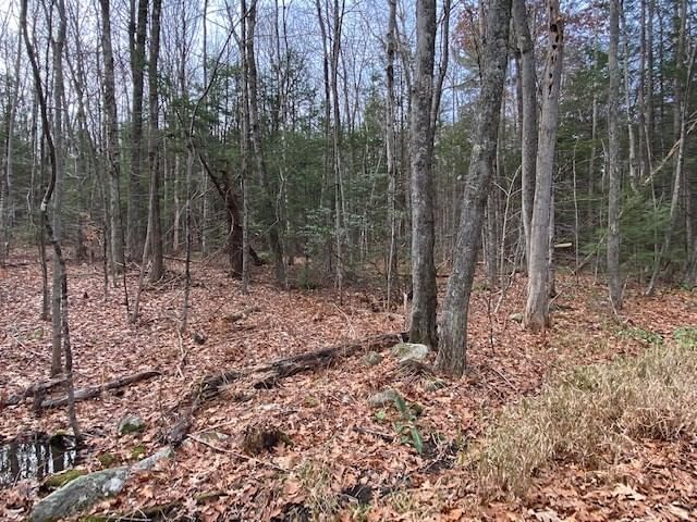 Lt 55 Wendell Rd, New Salem, MA 01355 photo 4