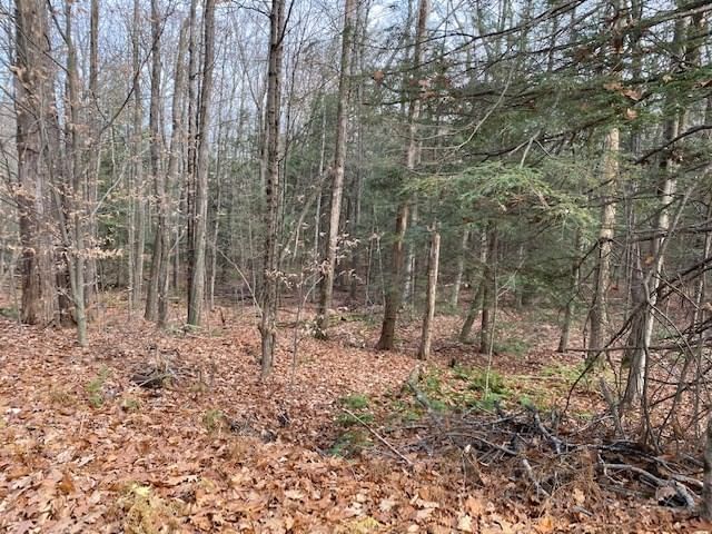 Lt 55 Wendell Rd, New Salem, MA 01355 photo 5