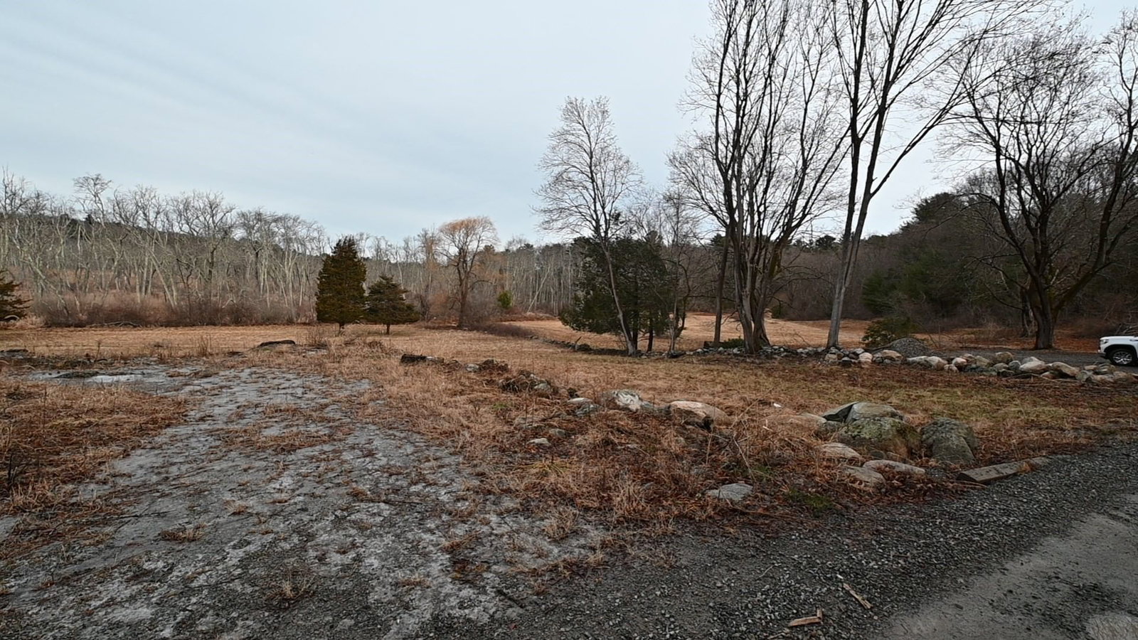 333 Cartwright Rd, Needham, MA 02482 photo 2