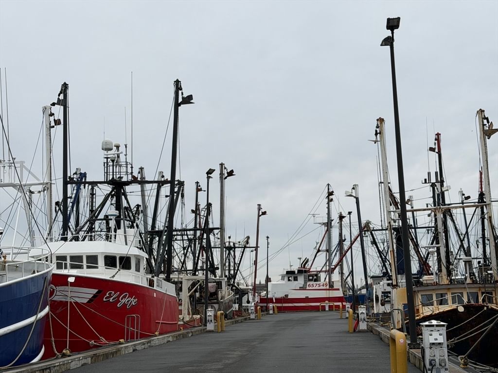 25 Seventh New Bedford — Photo 41 of 41