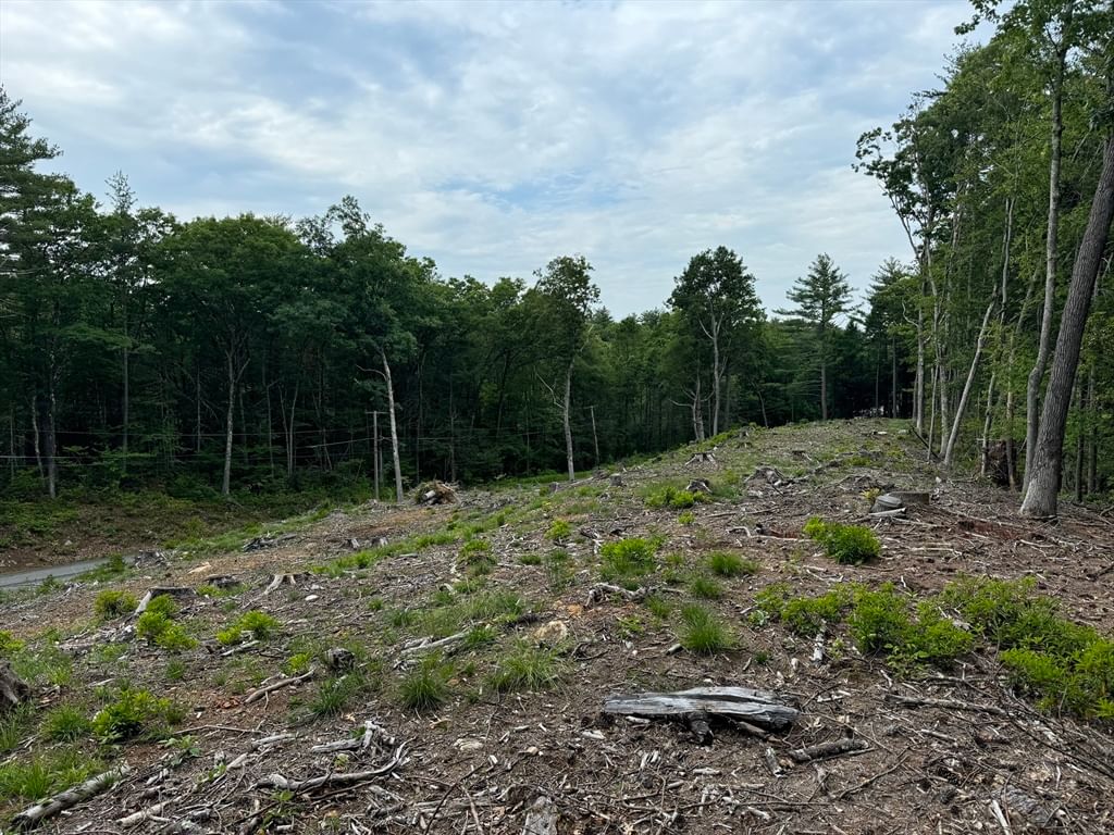 0 Alpine Southbridge — Photo 4 of 4