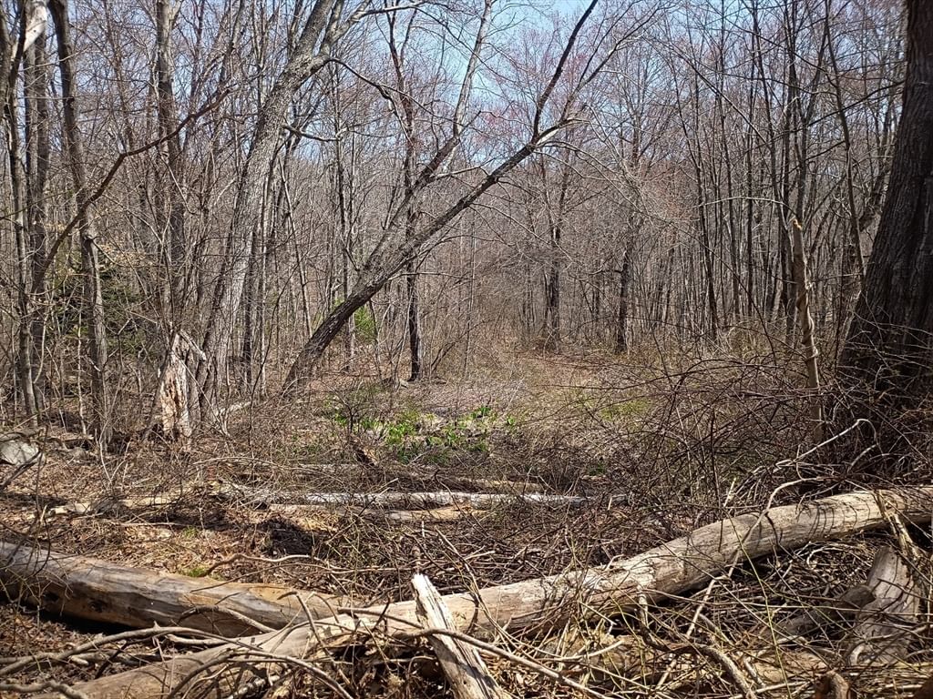 90 Chestnut Hill Road Millville — Photo 2 of 3