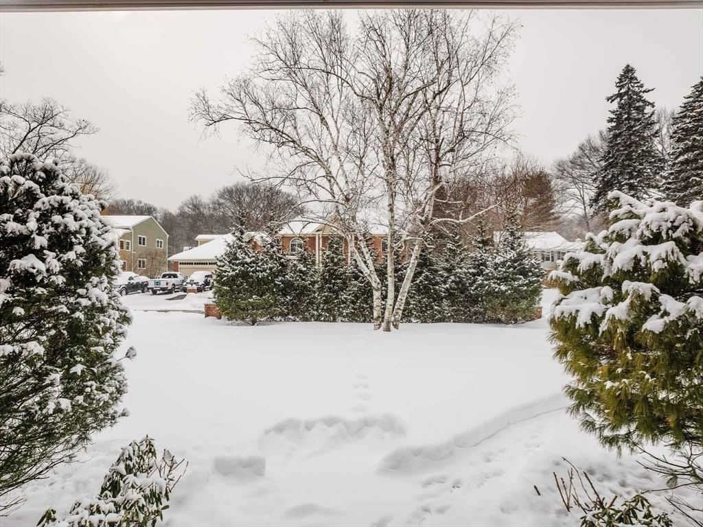 75 Woodfall Rd Belmont — Photo 39 of 42