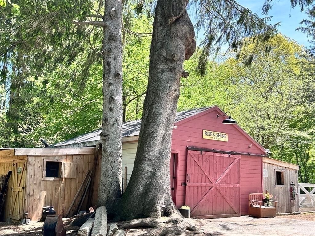 5 Putnam Hill Rd Sutton — Photo 32 of 42