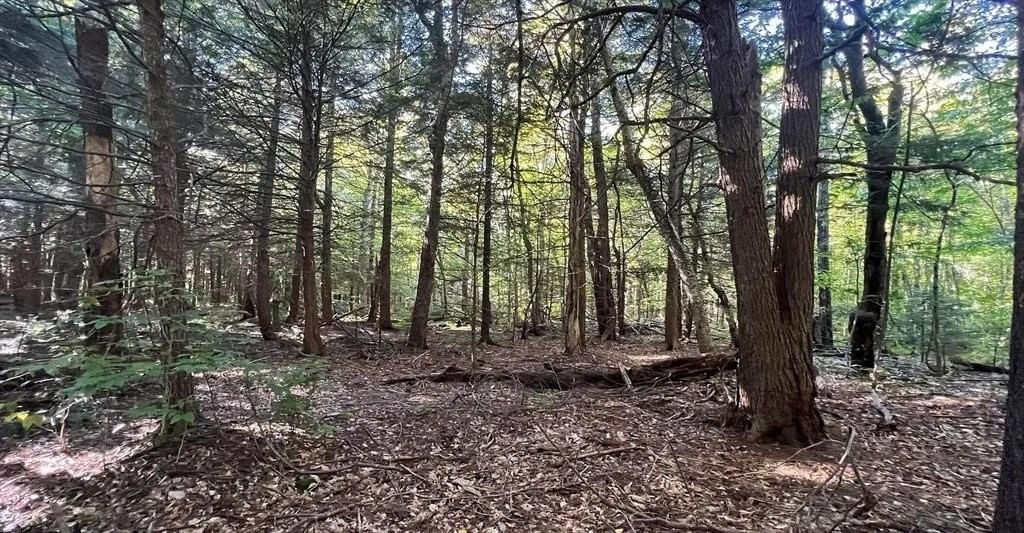 0 Gentian Hollow Rd, Becket, MA 01223 photo 4