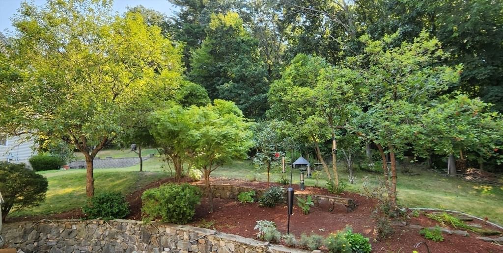 7 Tree Top Way Methuen — Photo 31 of 36