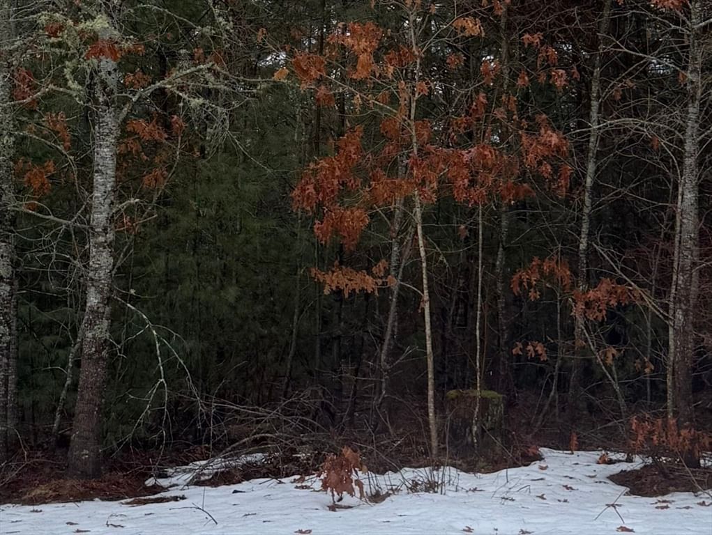 52 Cedar Dr, Carver, MA 02330