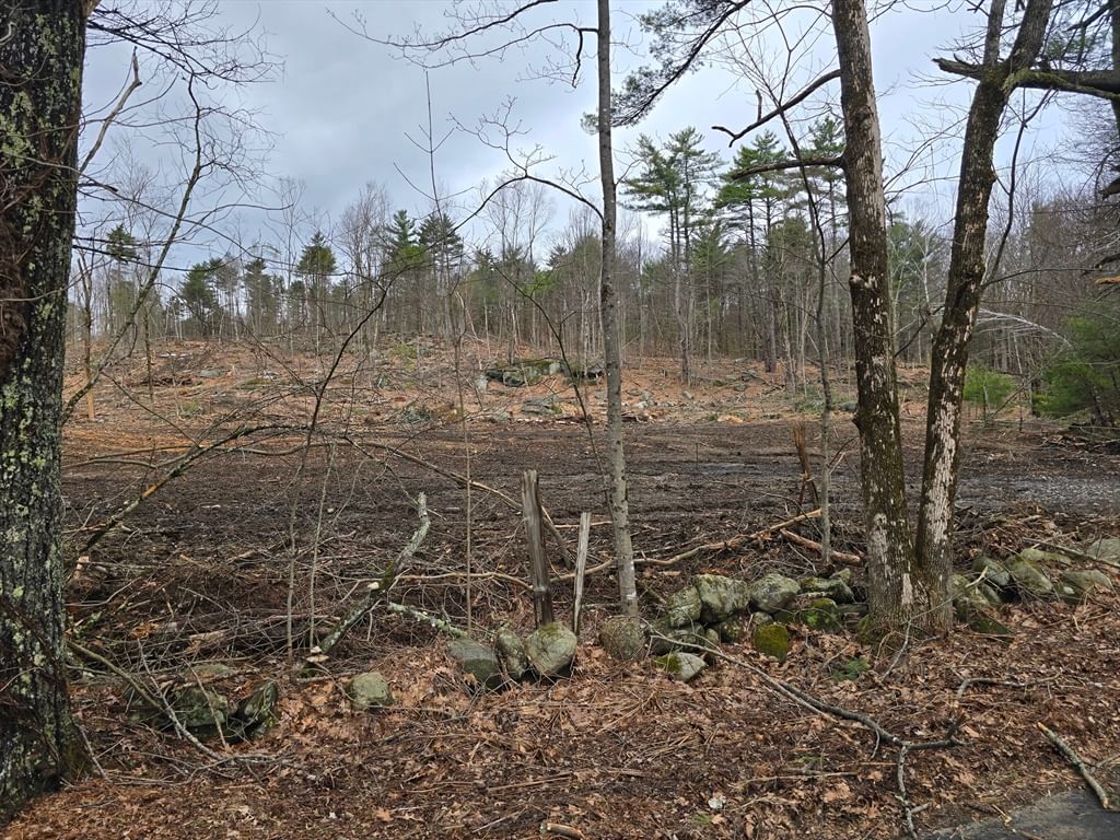 0 Neale Rd, Royalston, MA 01368 photo 4