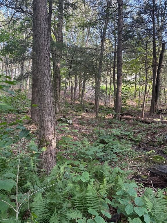 TS12 &TTR8 Slope Rd & Traaack, Tolland, MA 01034 photo 3
