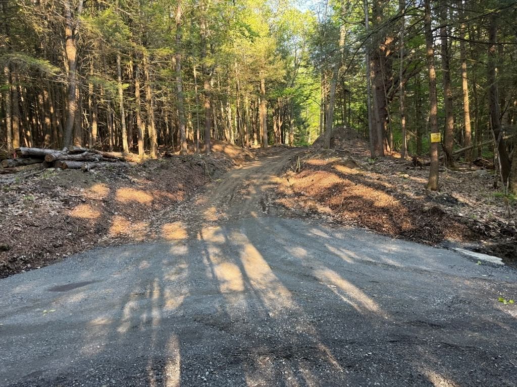 Property at 0 Old Chester Rd (Rear), Blandford, MA 01008