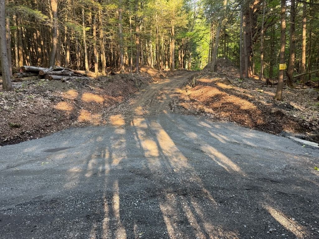 0 Old Chester Rd (Rear), Blandford, MA 01008 photo 2
