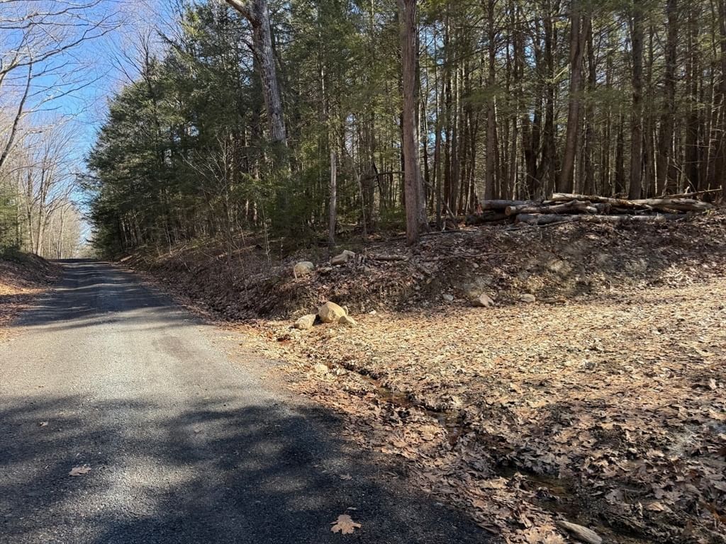0 Old Chester Rd (Rear), Blandford, MA 01008 photo 5