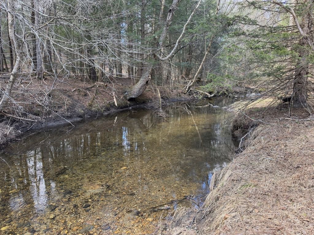 151 Ashfield Road, Williamsburg, MA 01096 photo 4