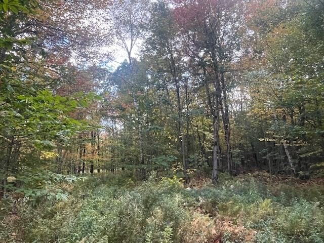 0 Stryker Road, Florida, MA 01247 photo 2