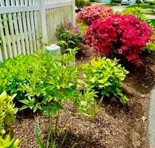 13 Hollyhock Knoll Ct #13 Bourne — Photo 40 of 42