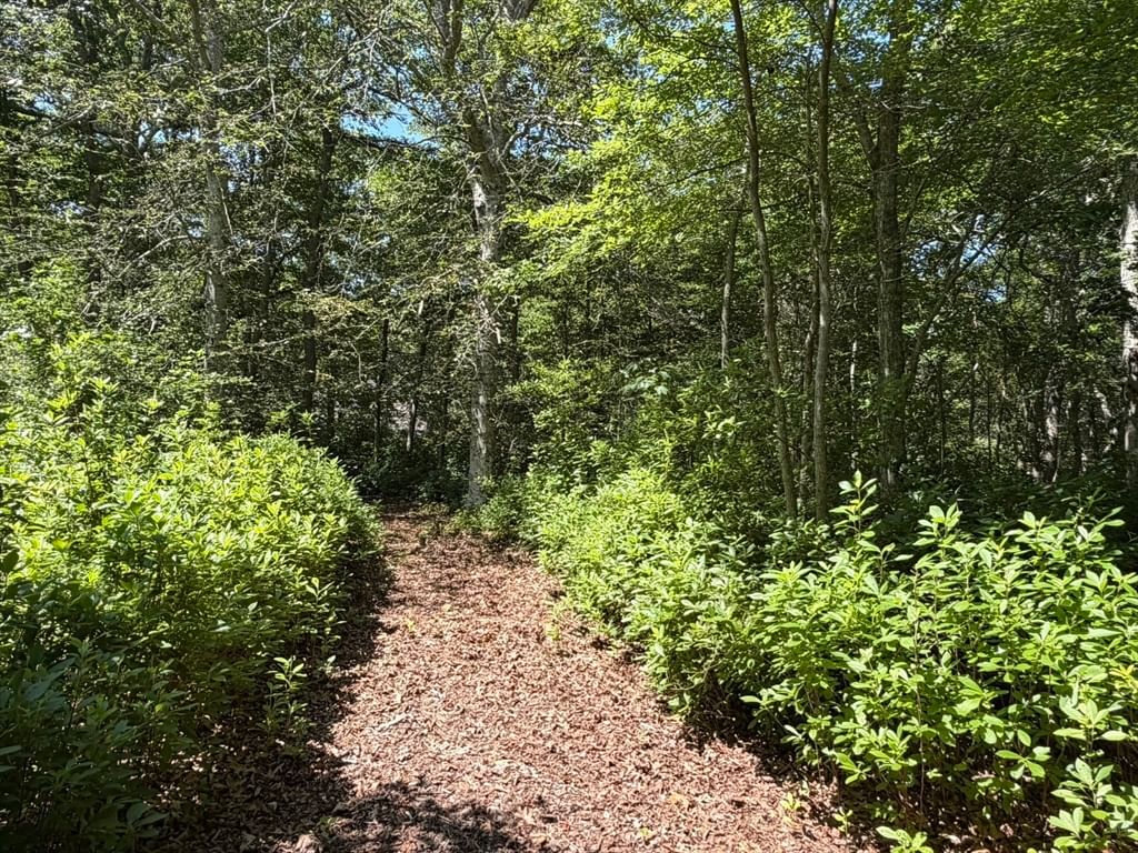 0 North 15 Belhaven Way Chilmark — Photo 4 of 10