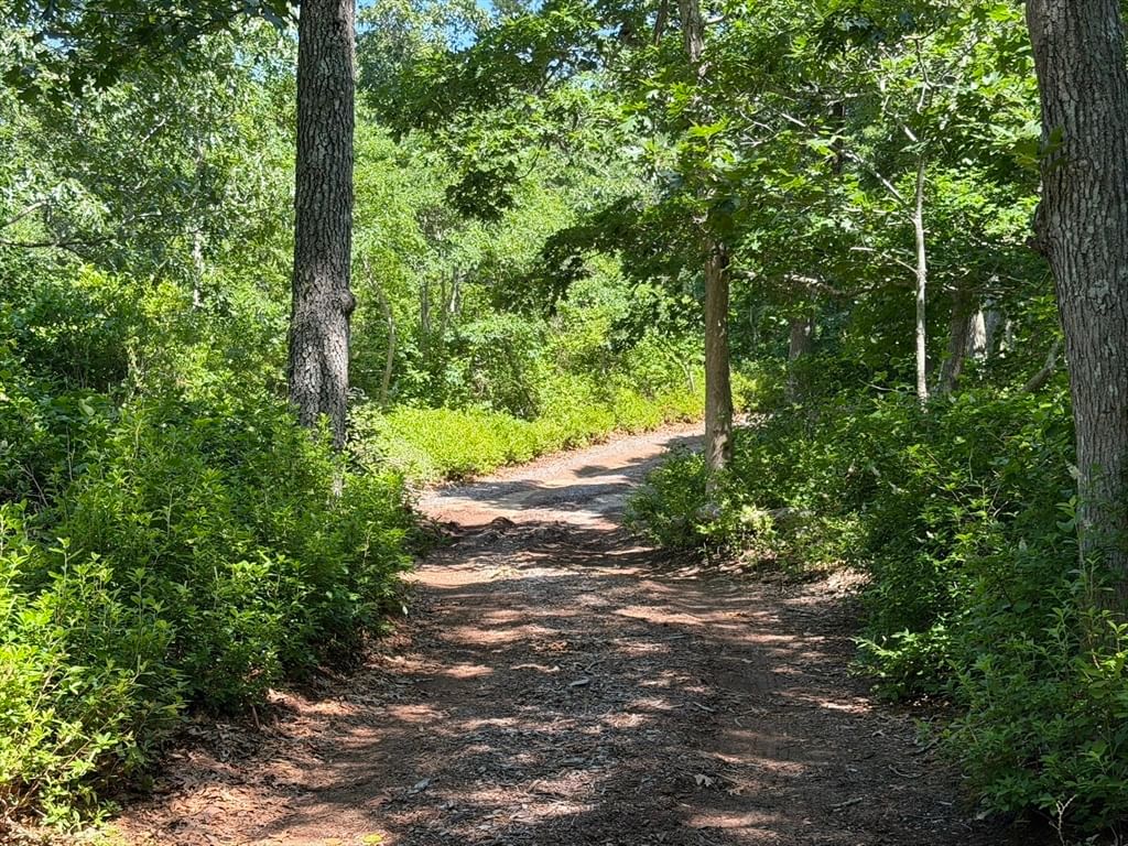 0 North 15 Belhaven Way Chilmark — Photo 9 of 10