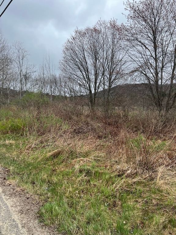 Lot 50 Reed Street, Warren, MA 01083 photo 5