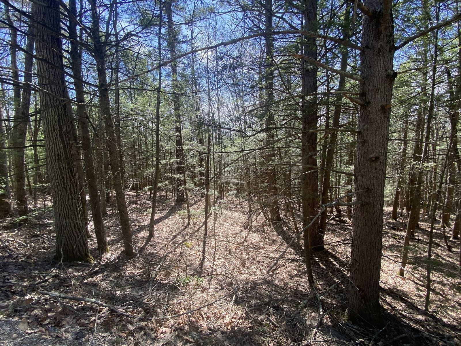 Lot 23-25 Hawk Hill Rd, Charlemont, MA 01339 photo 3