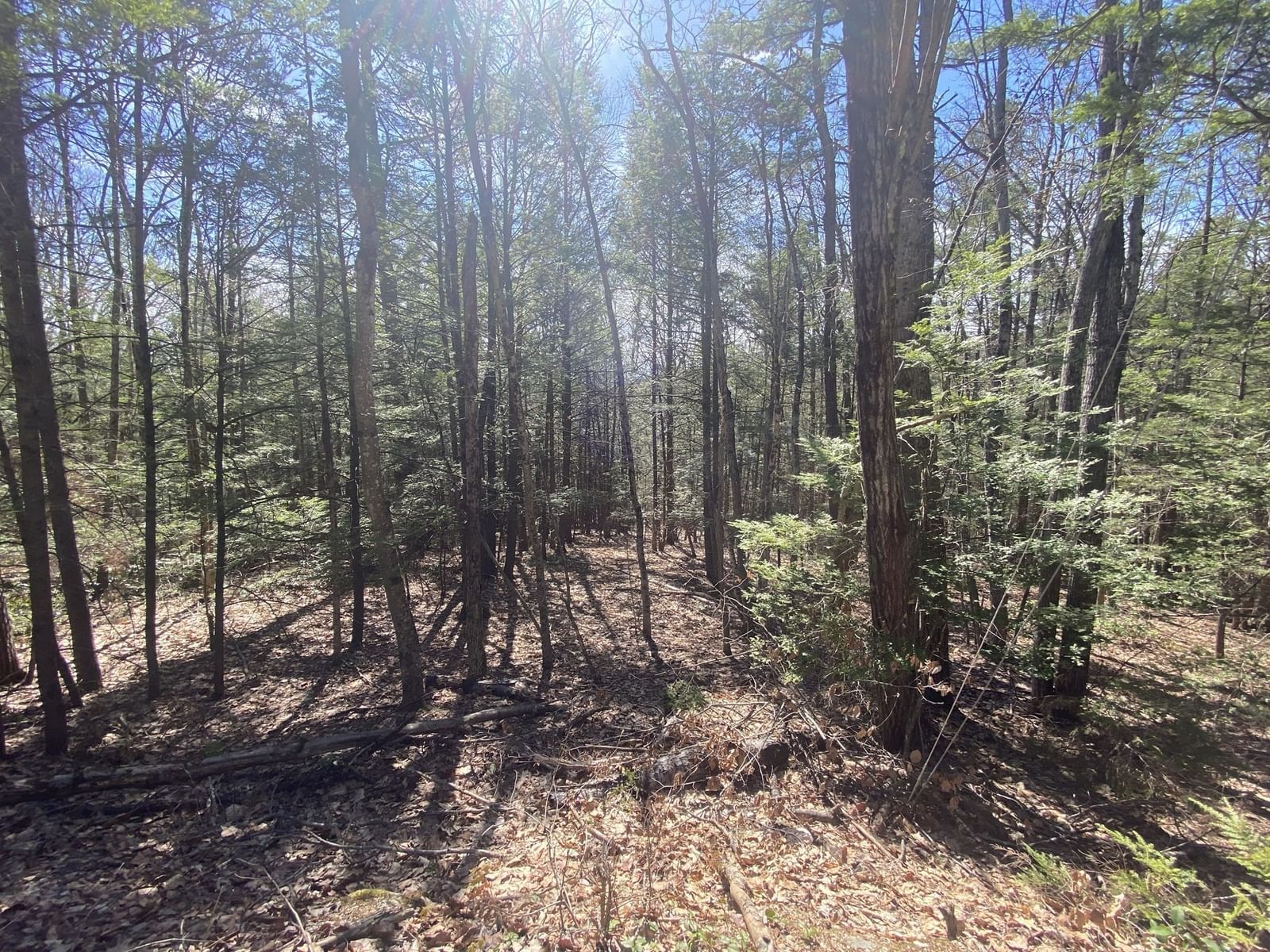Lot 23-25 Hawk Hill Rd, Charlemont, MA 01339 photo 4