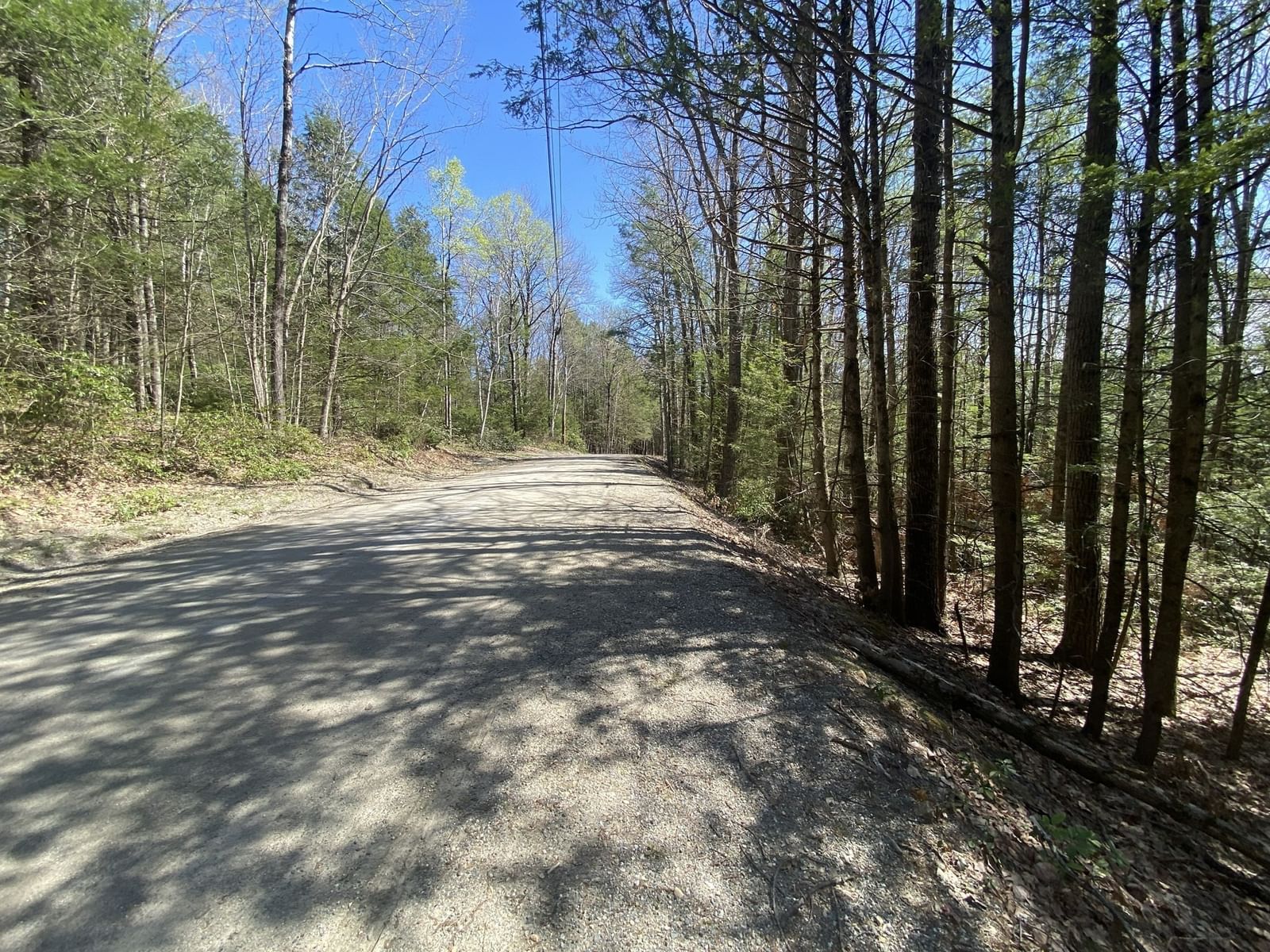 Lot 23-25 Hawk Hill Rd, Charlemont, MA 01339 photo 5