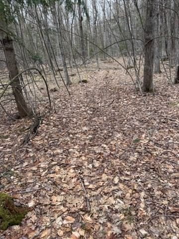 0 Tunnel Rd, Rowe, MA 01367 photo 3