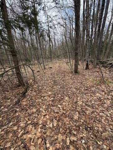 0 Tunnel Rd, Rowe, MA 01367 photo 4