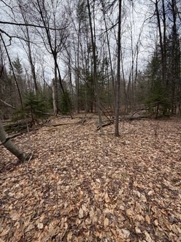 0 Tunnel Rd, Rowe, MA 01367 photo 5