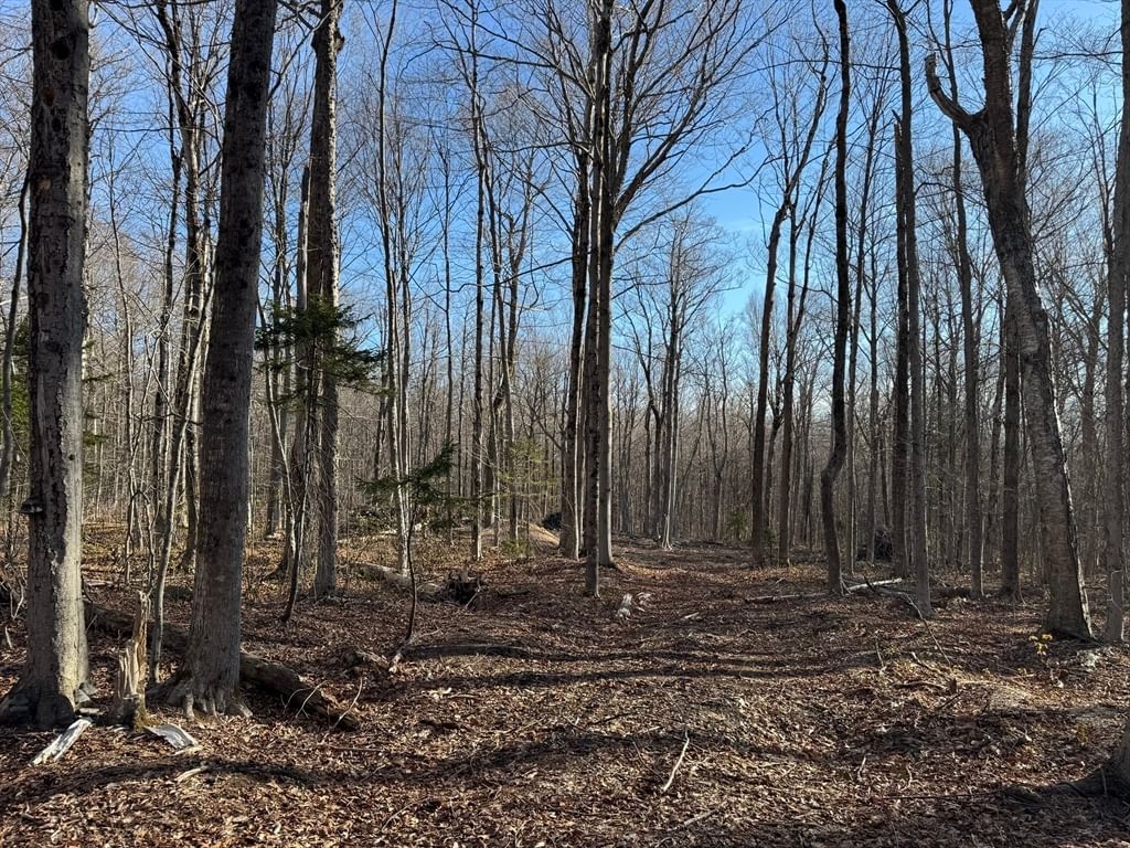 0 Sadoga Road, Heath, MA 01346 photo 3