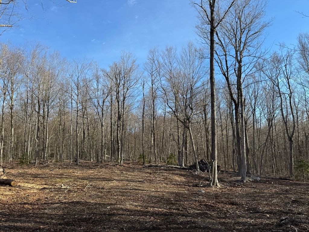 0 Sadoga Road, Heath, MA 01346 photo 4