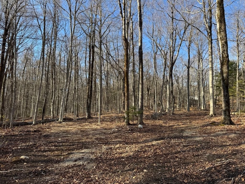 0 Sadoga Road, Heath, MA 01346 photo 5