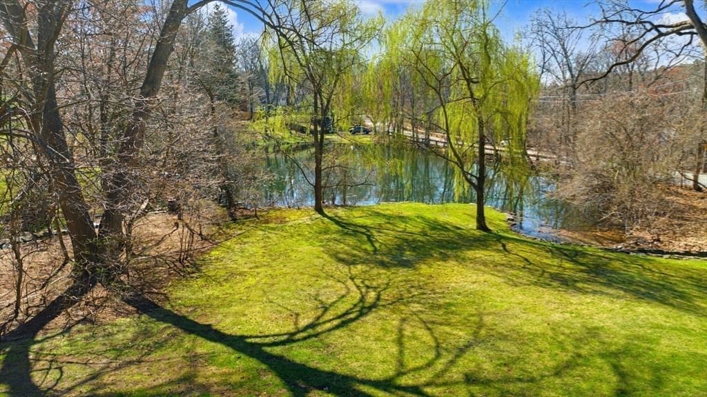 24 Radcliff Rd Newton — Photo 36 of 42