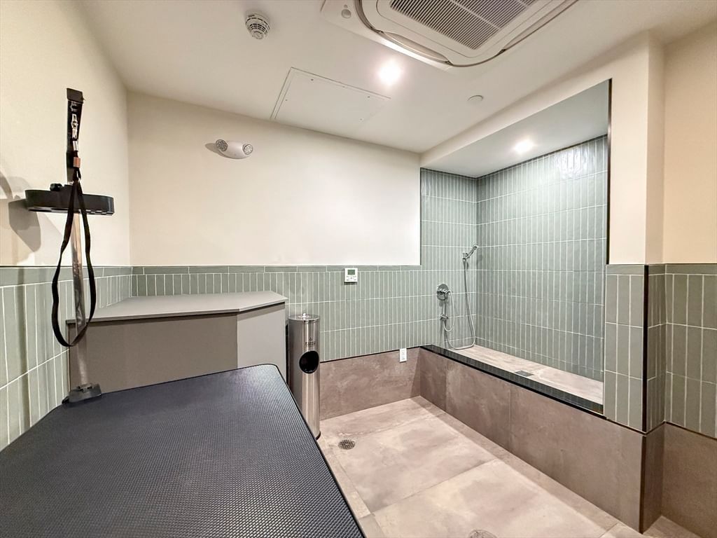 1 Nevins Hill Way #507 Boston — Photo 29 of 37