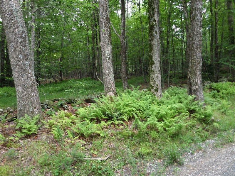 Property at 0 Pynchon Rd, Chesterfield, MA 01012