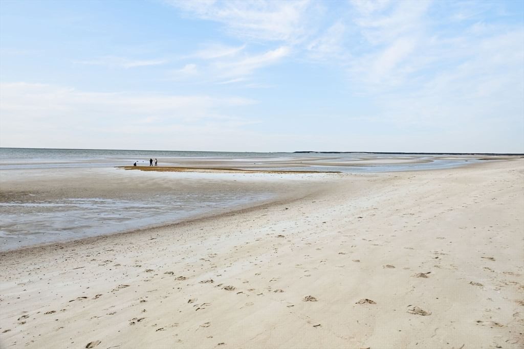 20 Billingsgate Ave, Eastham, MA, 20 Billingsgate Ave, Eastham, MA Photo #35