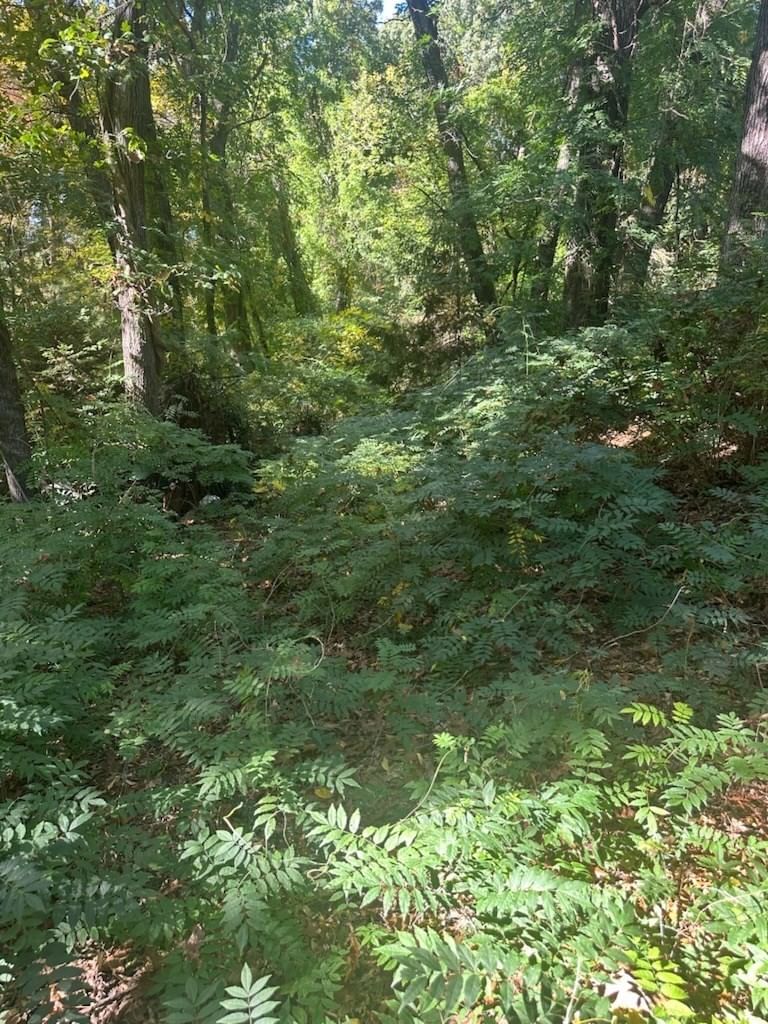 201 Summer Street, Maynard, MA 01754 photo 2