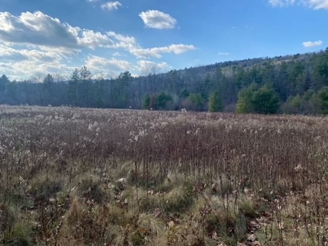 Property at 0 E Alford Rd, West Stockbridge, MA 01266