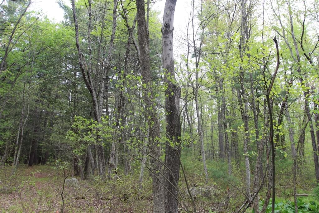 Parcel D Prentice Street, Holliston, MA 01746 photo 3