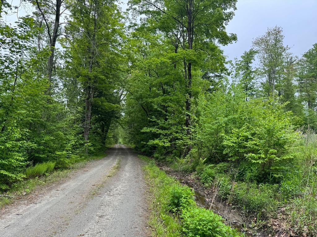 Lot B Beulah Land Rd Blandford — Photo 10 of 17