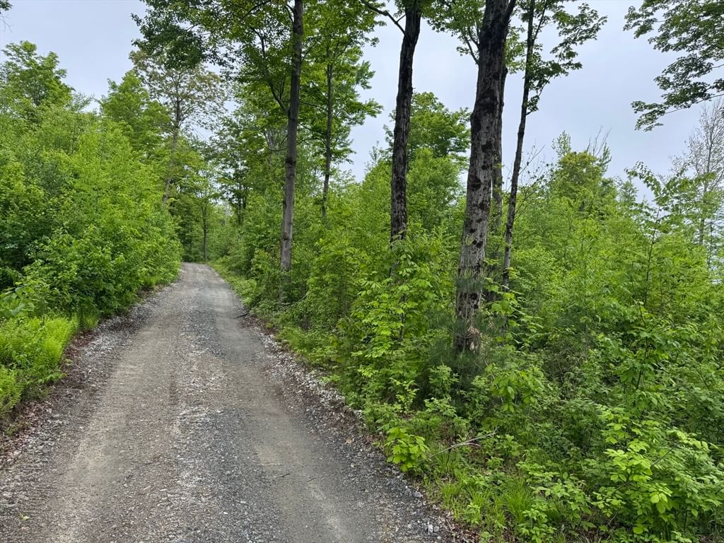 Lot B Beulah Land Rd Blandford — Photo 13 of 17