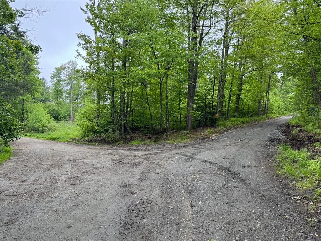 Lot B Beulah Land Rd Blandford — Photo 14 of 17
